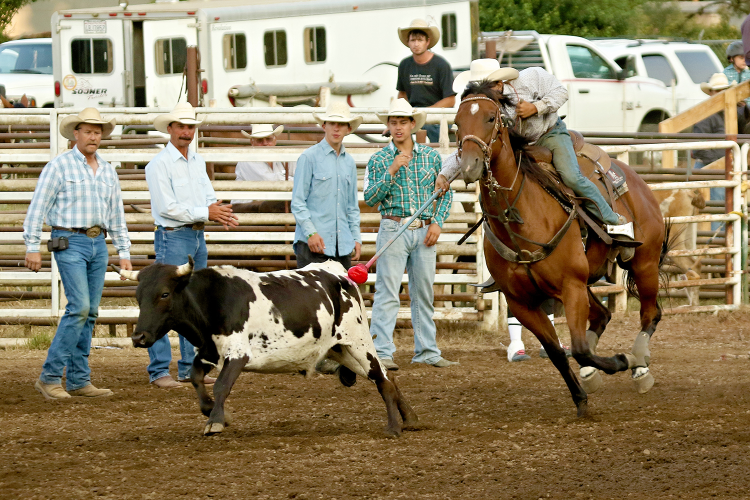 Junior Rodeo
